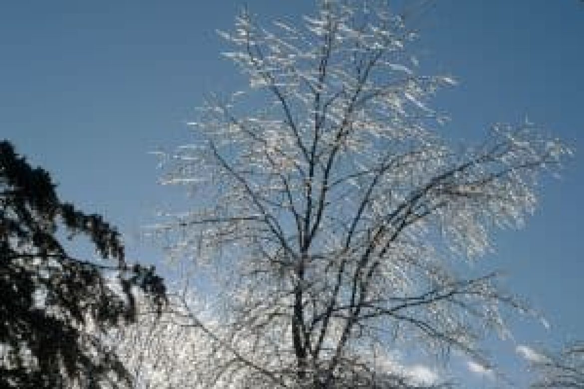 Scenes from the Mid-Hudson Valley ice storm in February