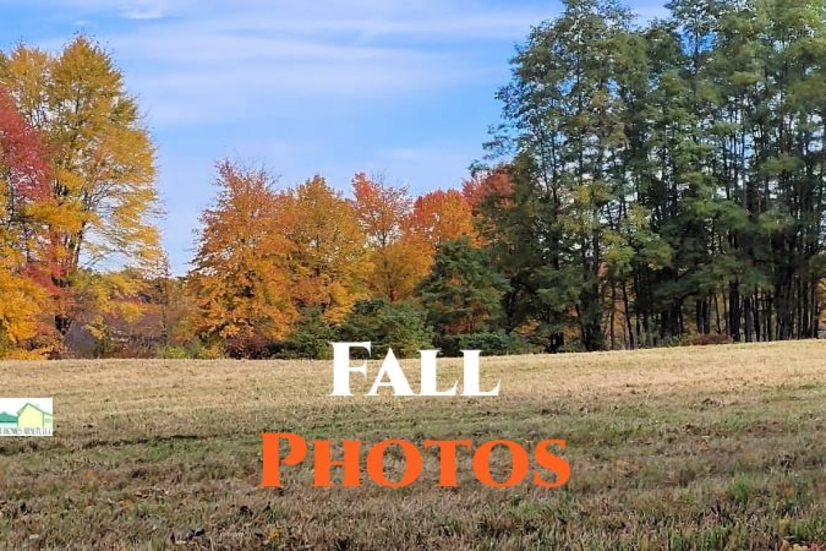 Fall Photos | Colors on Pitcher Lane in Red Hook NY