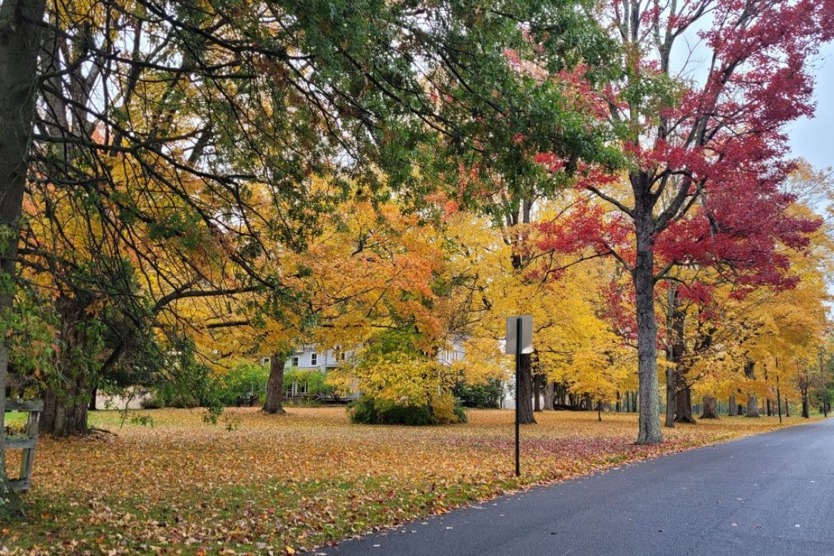 Video of Spectacular fall colors in Northern Dutchess and beyond.